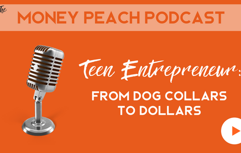 teenage entrepreneur ideas
