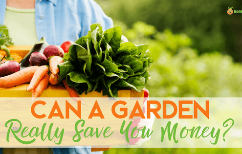 garden help you save money