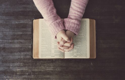 free bible download